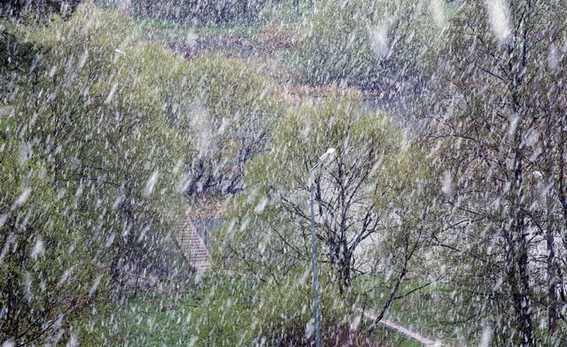 The rain has ended in Hamilton, but flooding woes continue.