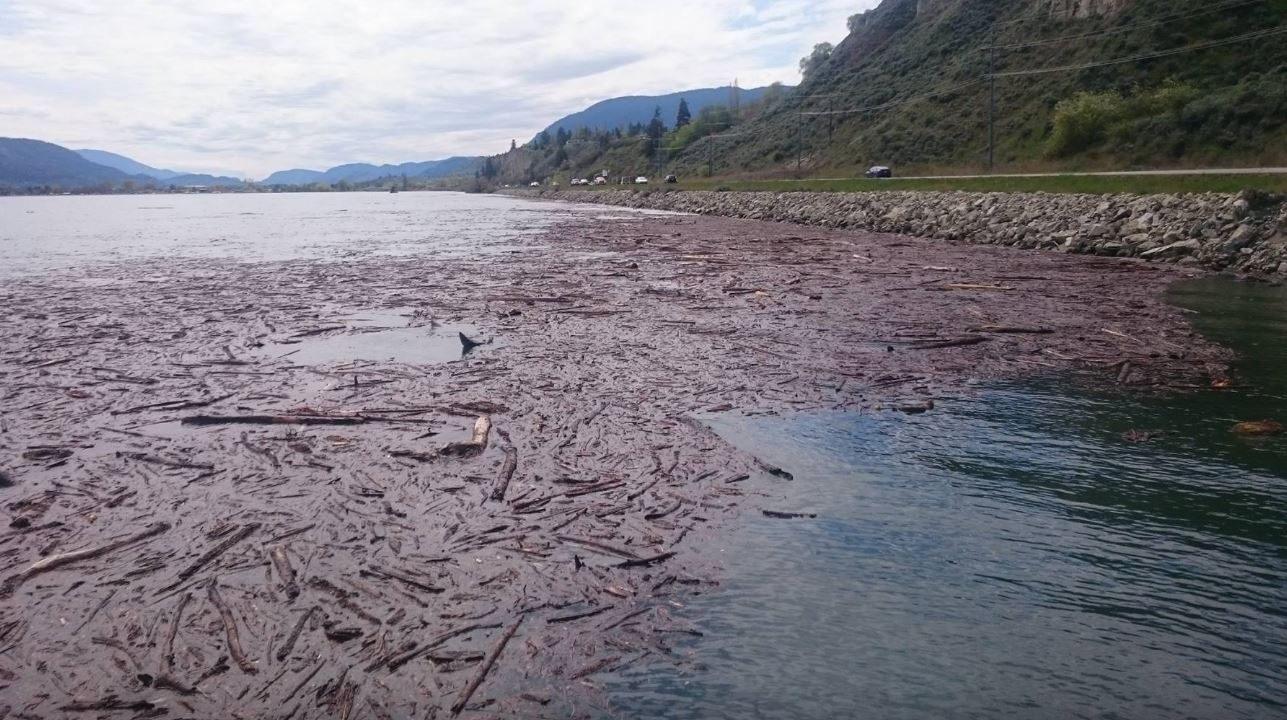 Okanagan-Similkameen Braces For More Flooding | Globalnews.ca