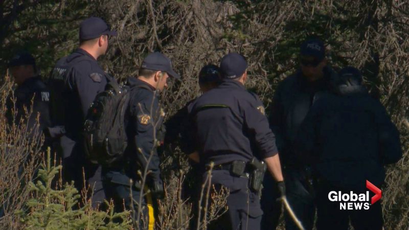 Woman describes finding human remains during walk on trail west of Calgary - image