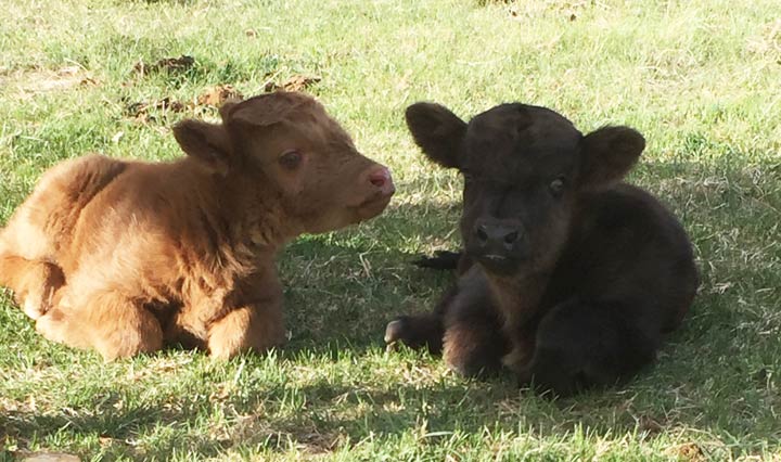 May 27: This Your Saskatchewan photo was taken by Patrick Therrien in Willow Bunch.