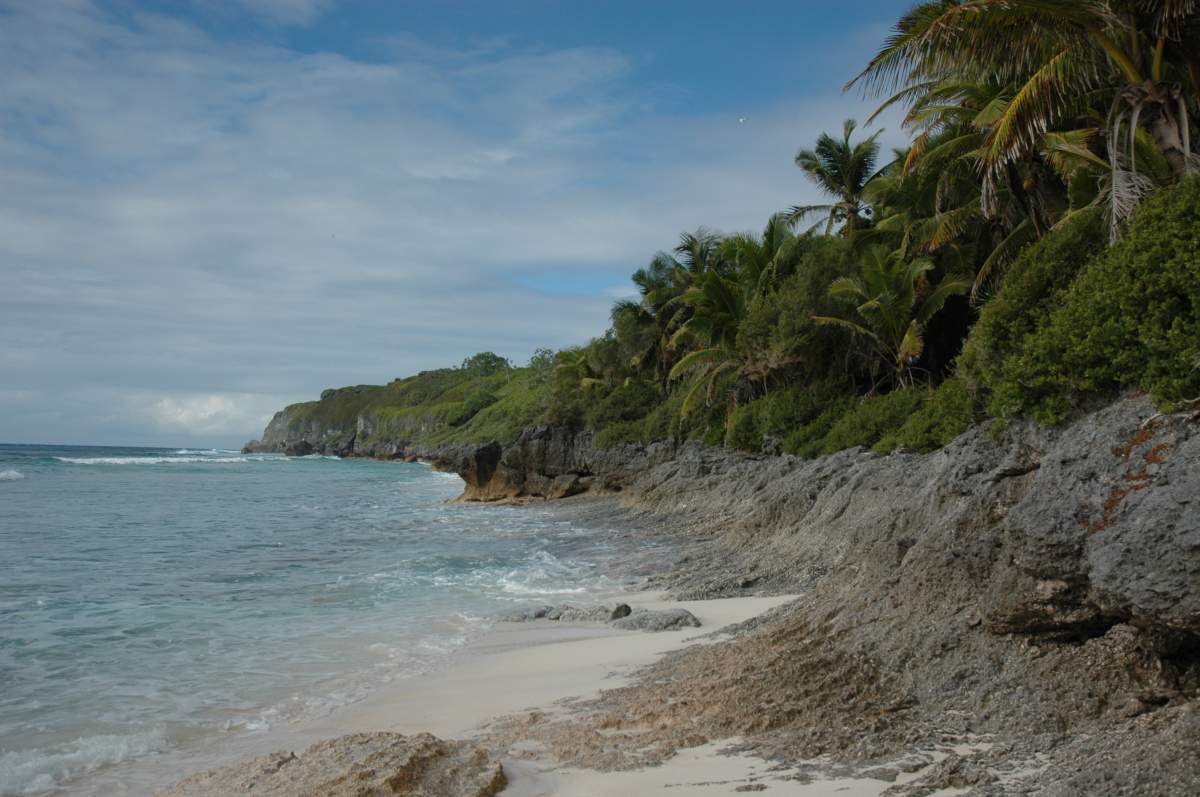 Northwest Beach. Henderson Island