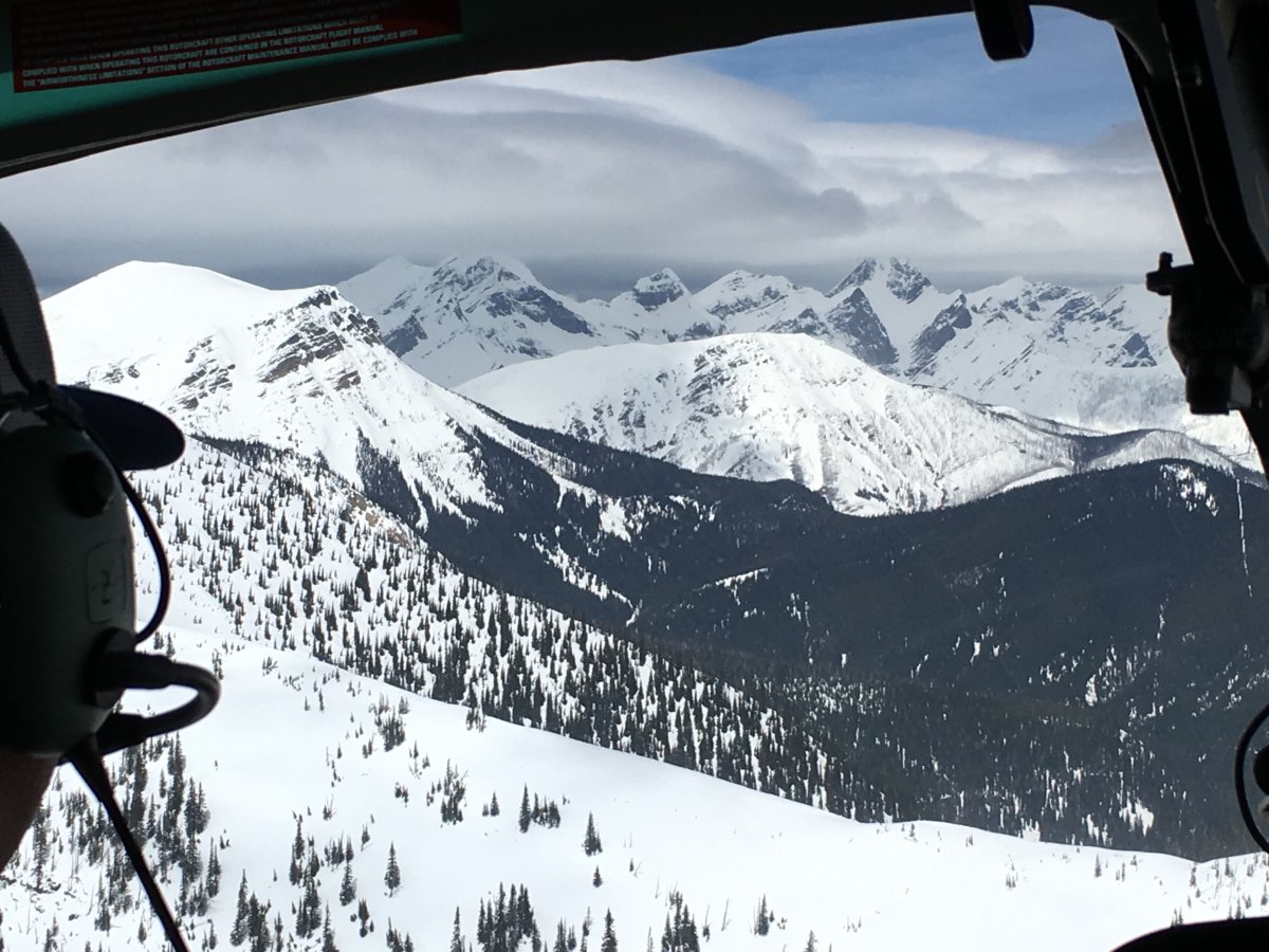 Snow covered mountains in the Crowsnest Pass.