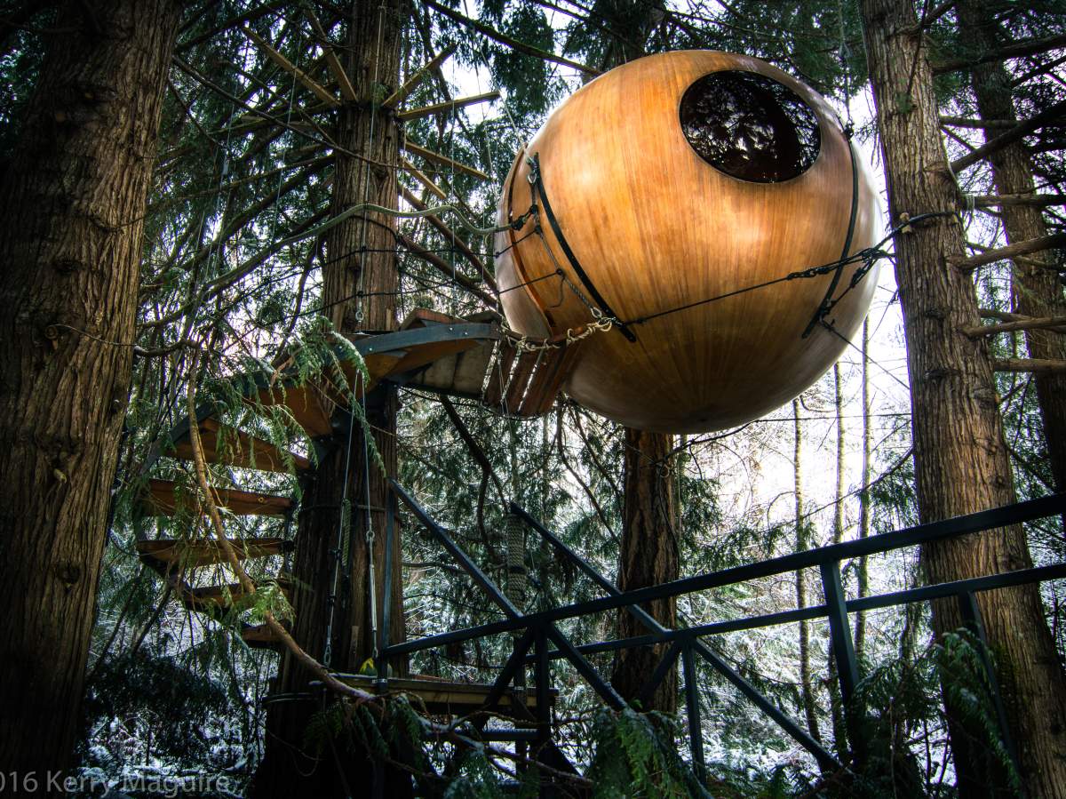 The spherical treehouses are suspended among the rainforest on Vancouver Island.