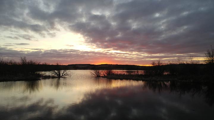 May 14: This Your Saskatchewan photo was taken by Annette Wylie at Wakaw.