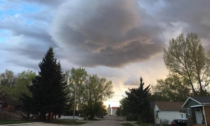 May 21: This Your Saskatchewan photo was taken by Susan Sagen at Kenaston.