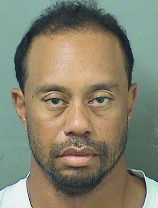 Tiger Woods blames medication for DUI charge, says alcohol not a factor - image