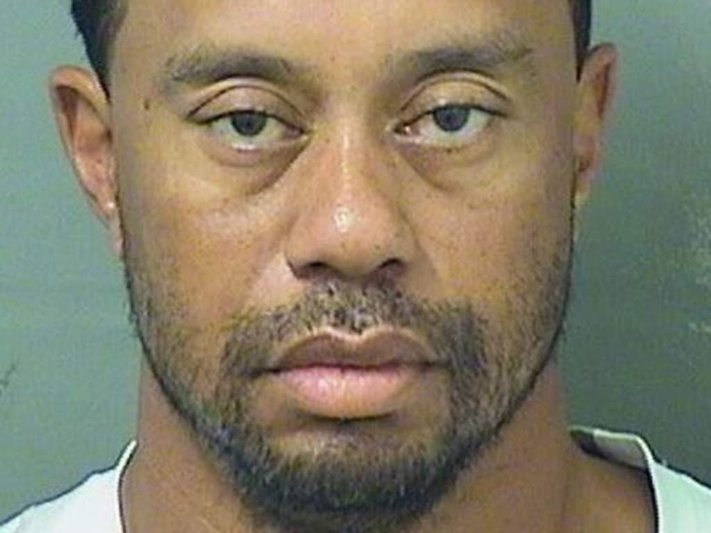 Tiger Woods mugshot