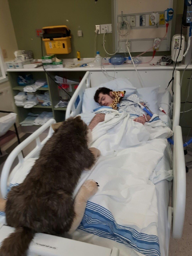 Dean Heber with the wolf stuffed animal his parents got him during his latest hospital stay.