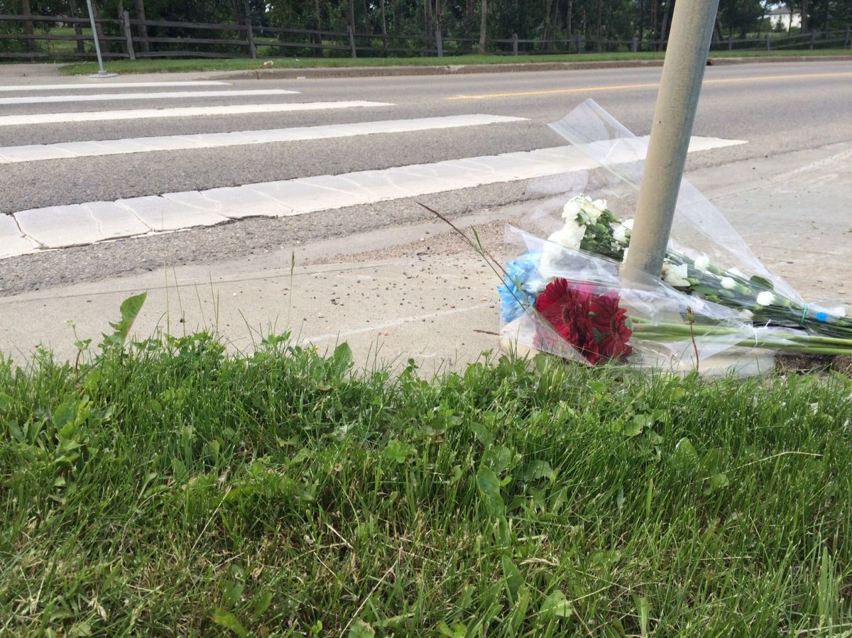 Edmonton police say a woman and her dog were struck and killed in a crosswalk near Lewis Estates Blvd. Saturday, June 17, 2017.