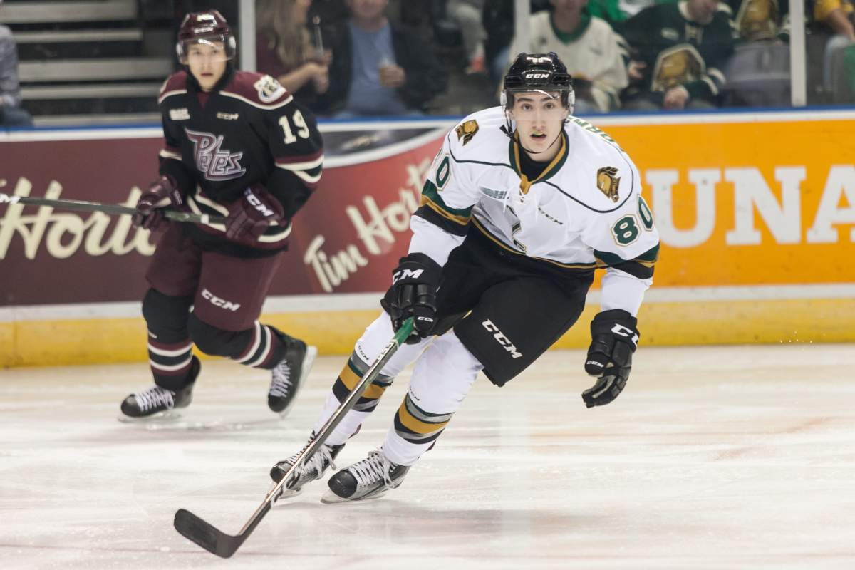 The London Knights defeat the Peterborough Petes 6-3 during an Ontario Hockey League regular season game on October 7, 2016 in London, Ont. THE CANADIAN PRESS IMAGES/Mark Spowart.