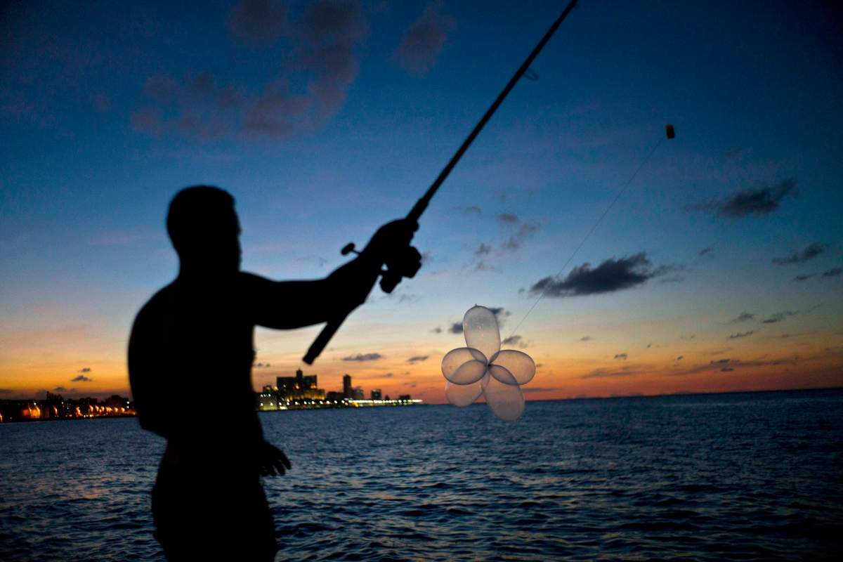 Feel free to bring your fishing rod (without hooks) on carry-on.