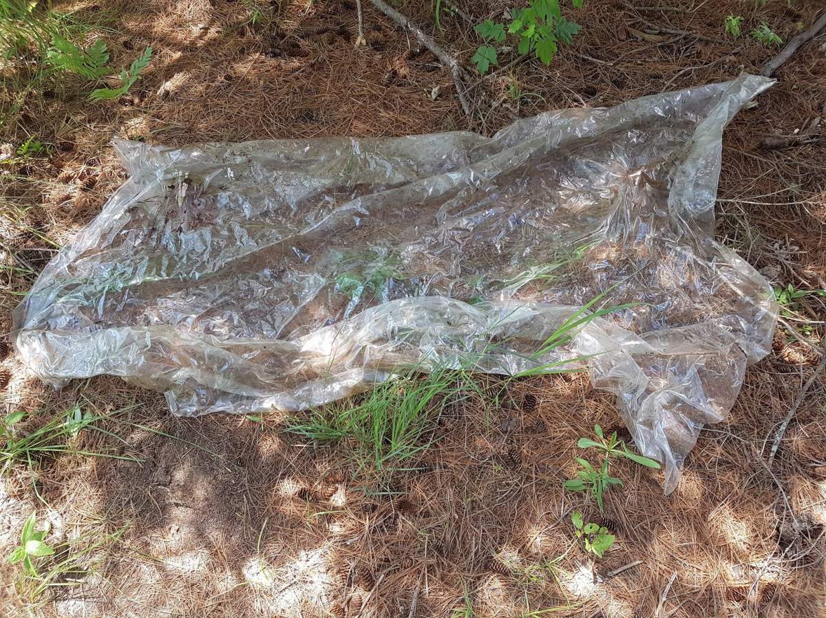 The plastic sheet Melvin Burns found on his property along with the butchered carcass of one of his pigs.