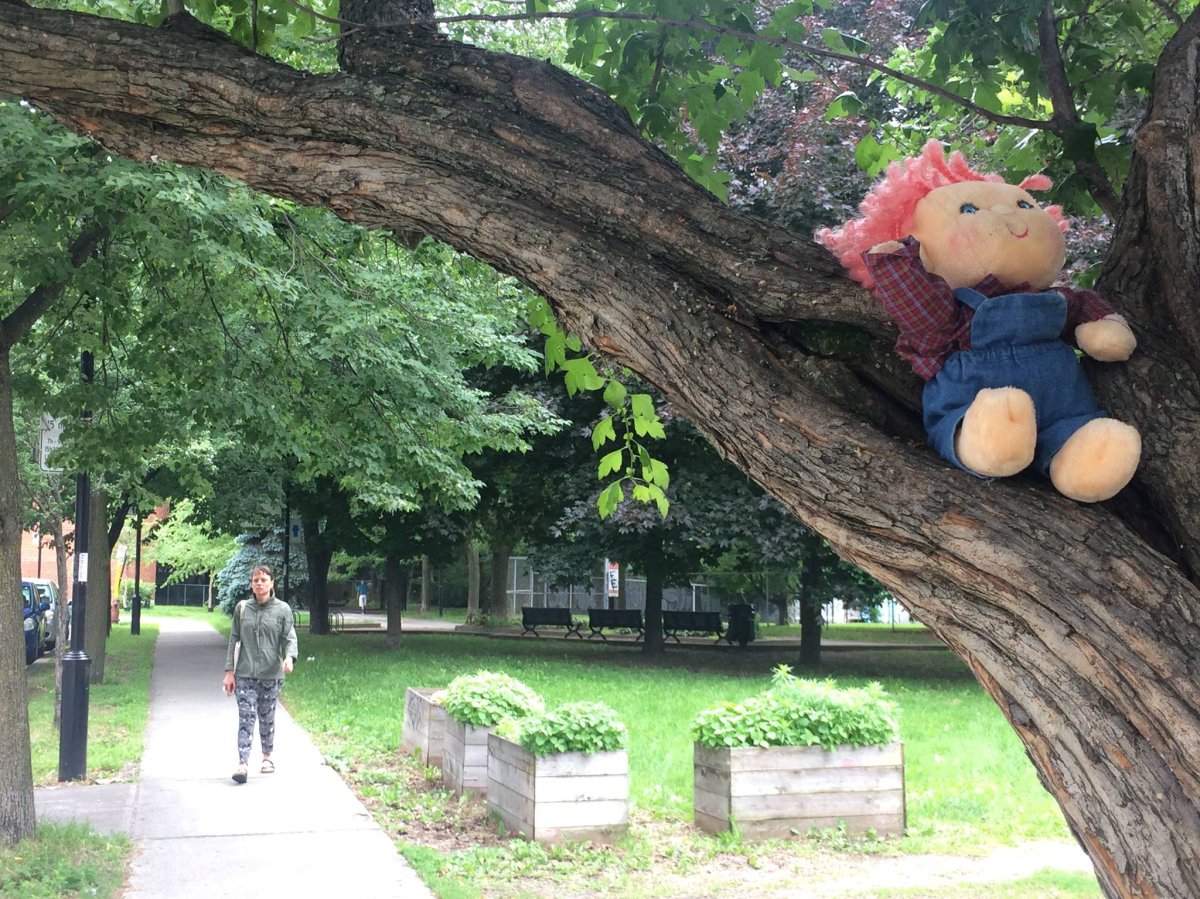 Stuffed animals are appearing in trees in Saint-Henri, Friday, June 30, 2017.