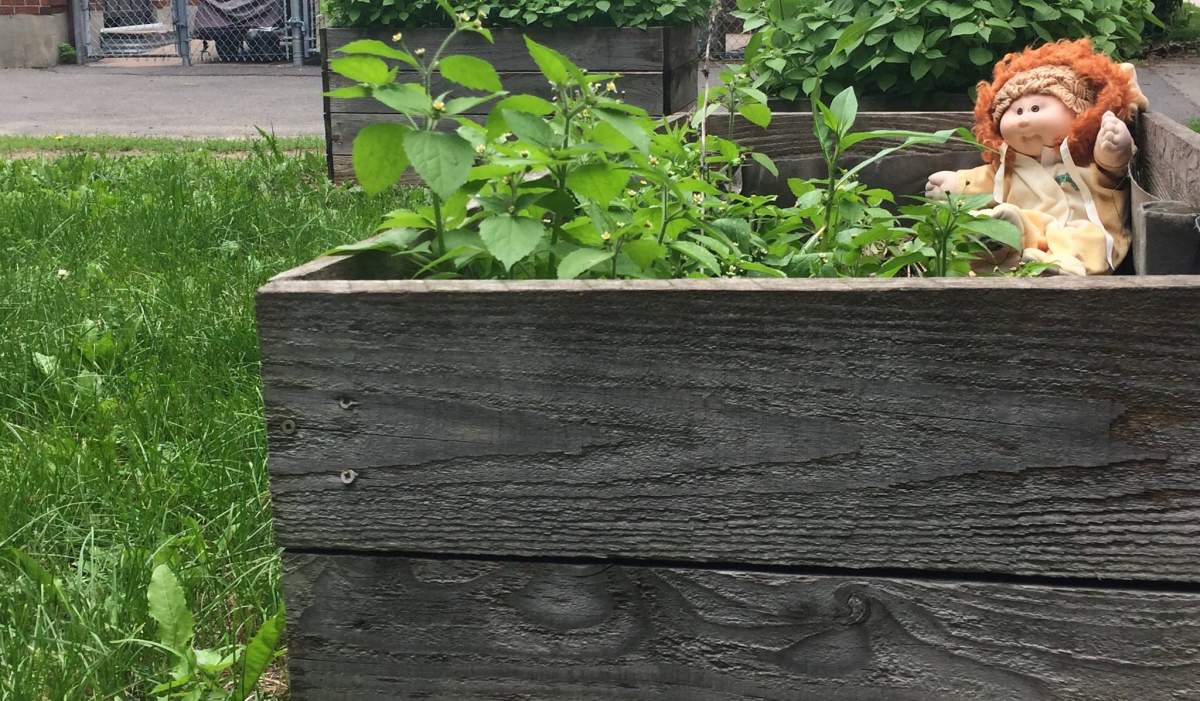 Stuffed animals are appearing in trees in Saint-Henri, Friday, June 30, 2017.