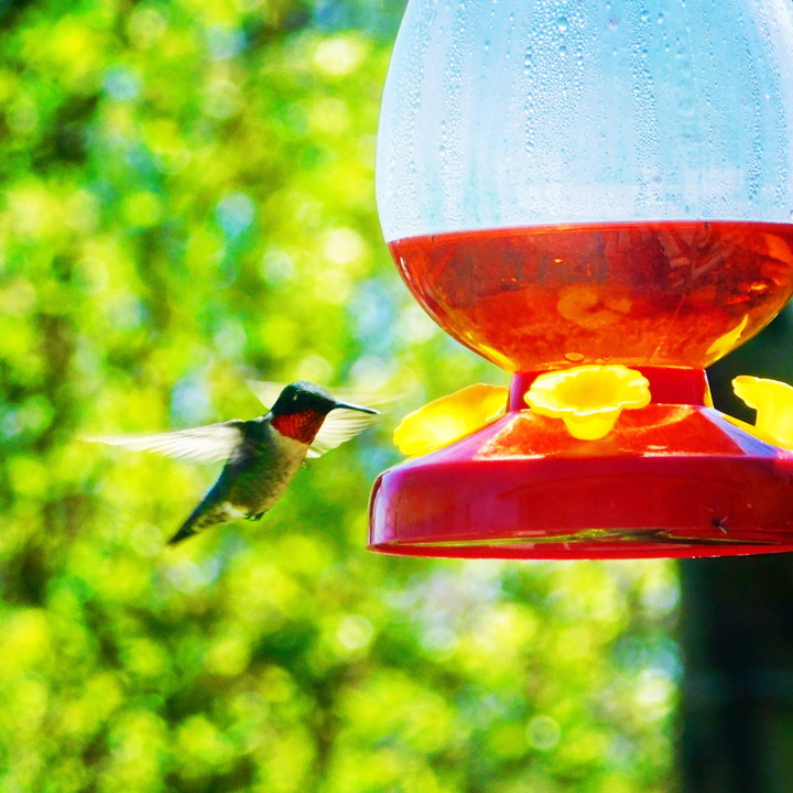 June 1: Cara Giesbrecht took this Your Saskatchewan photo at Wakaw Lake.
