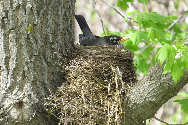 June 3: This Your Saskatchewan photo was taken near Bradwell by Katheryn Sepken.