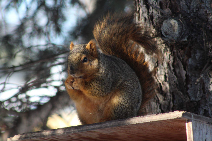 June 8: Lisa Marie Diewold took this Your Saskatchewan photo in Regina.