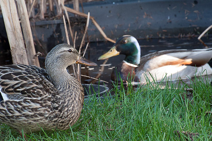 June 12: Richard Jackson took this Your Saskatchewan photo in Saskatoon.