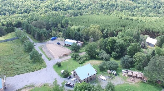 Located just outside of Florencville this is a 230-acre estate featuring a five-horse barn