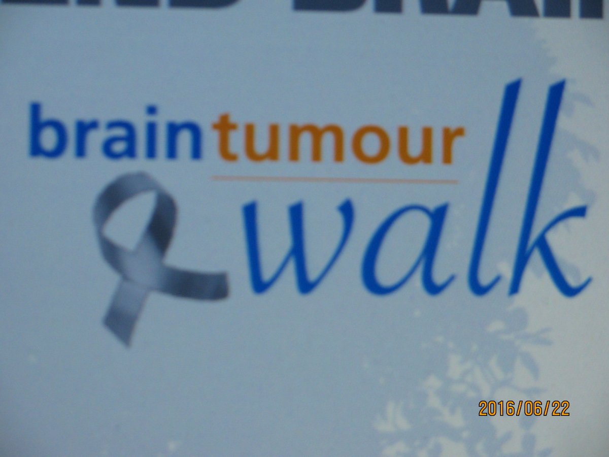 Brain Tumour Walk - image