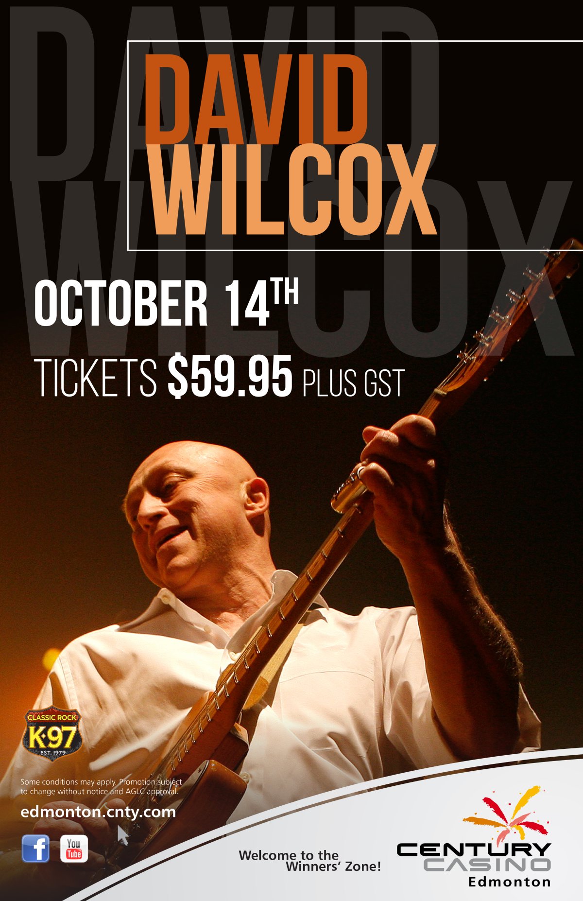 David Wilcox - image