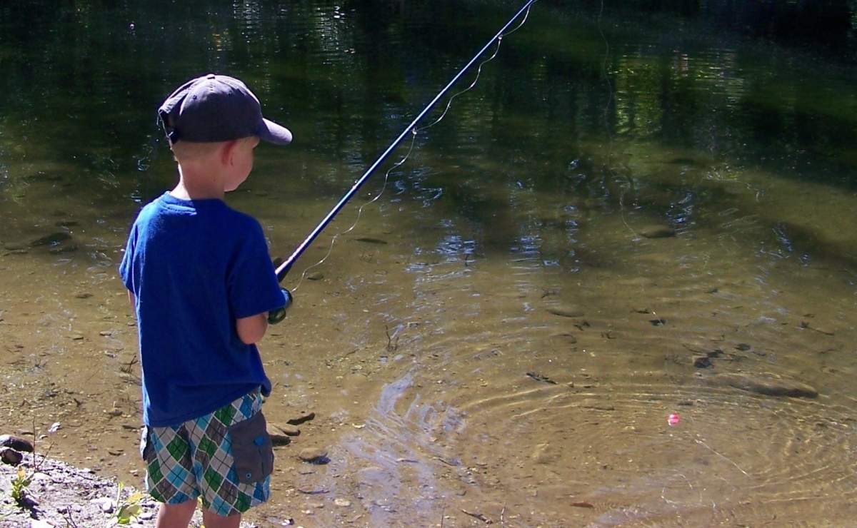 Learn to Fish - image