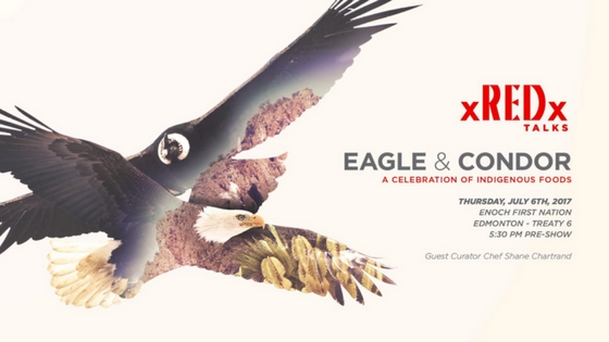REDx Talks: Eagle & Condor - image