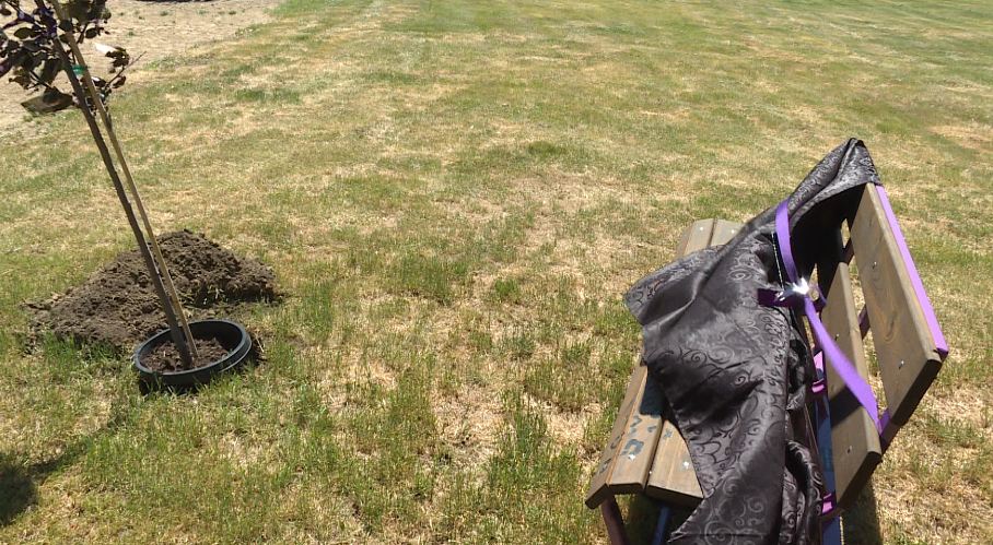 Memorial for Abbie Speir at a Yellow Grass Park.