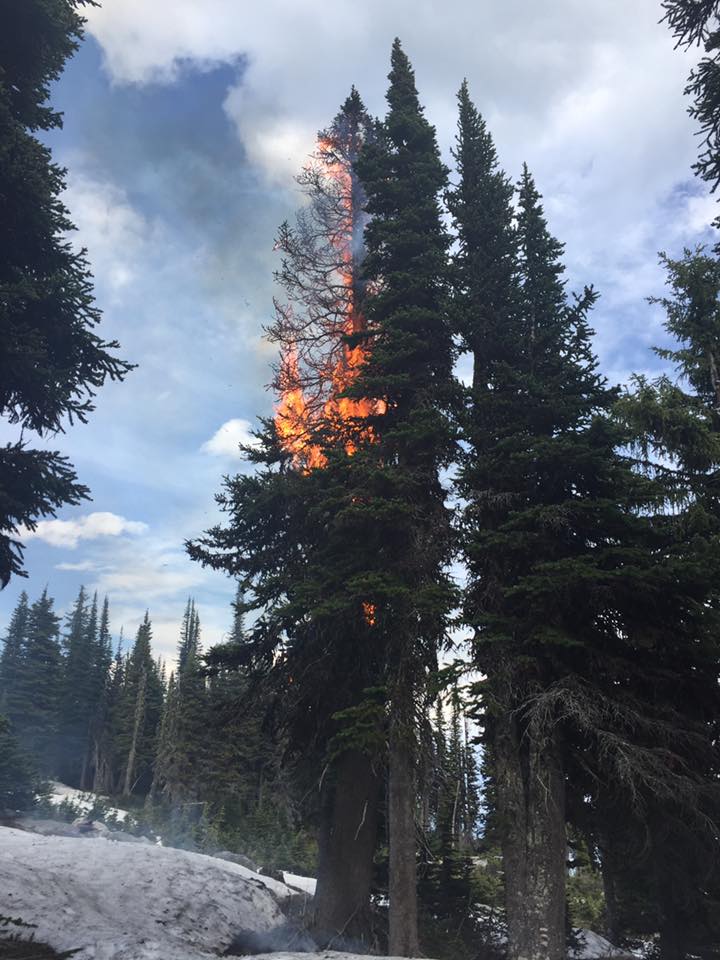 Snowy hillside ignited by lightning strikes near Kelowna - image
