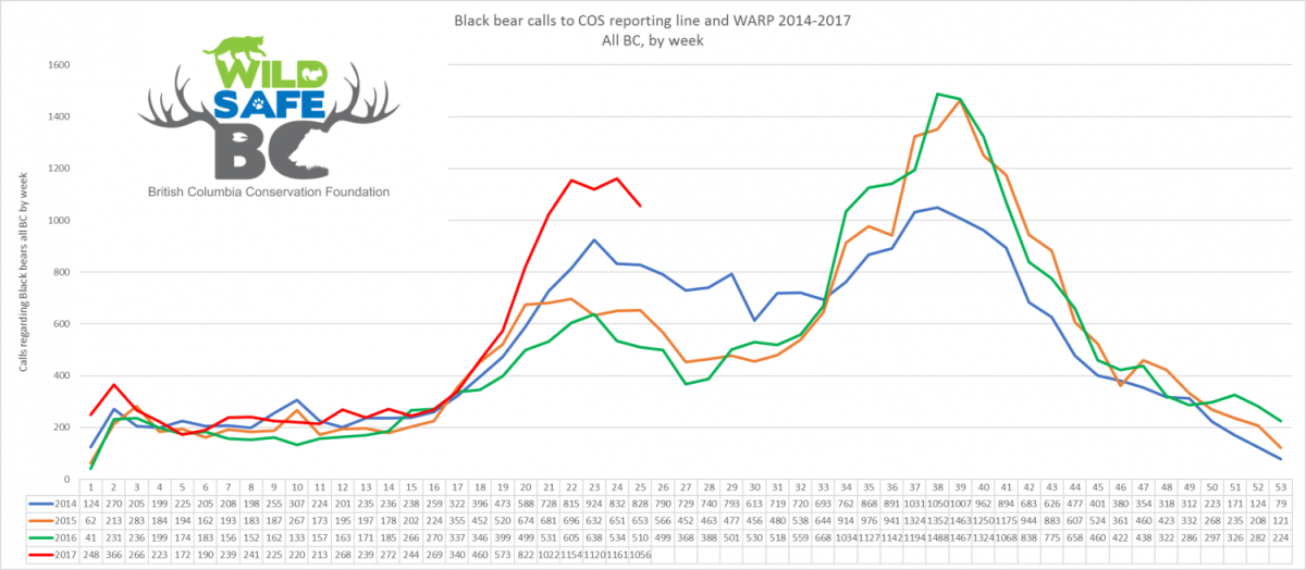A graph showing reported bear sightings, by week, going back to 2014.