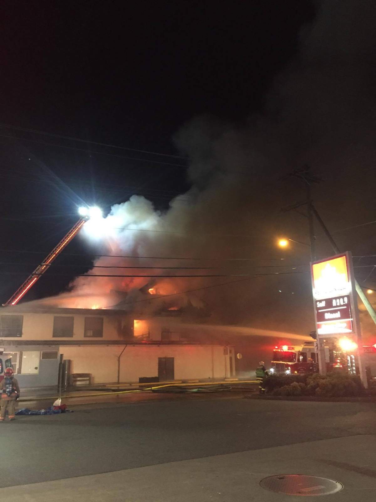 Credit: Chantal Craig