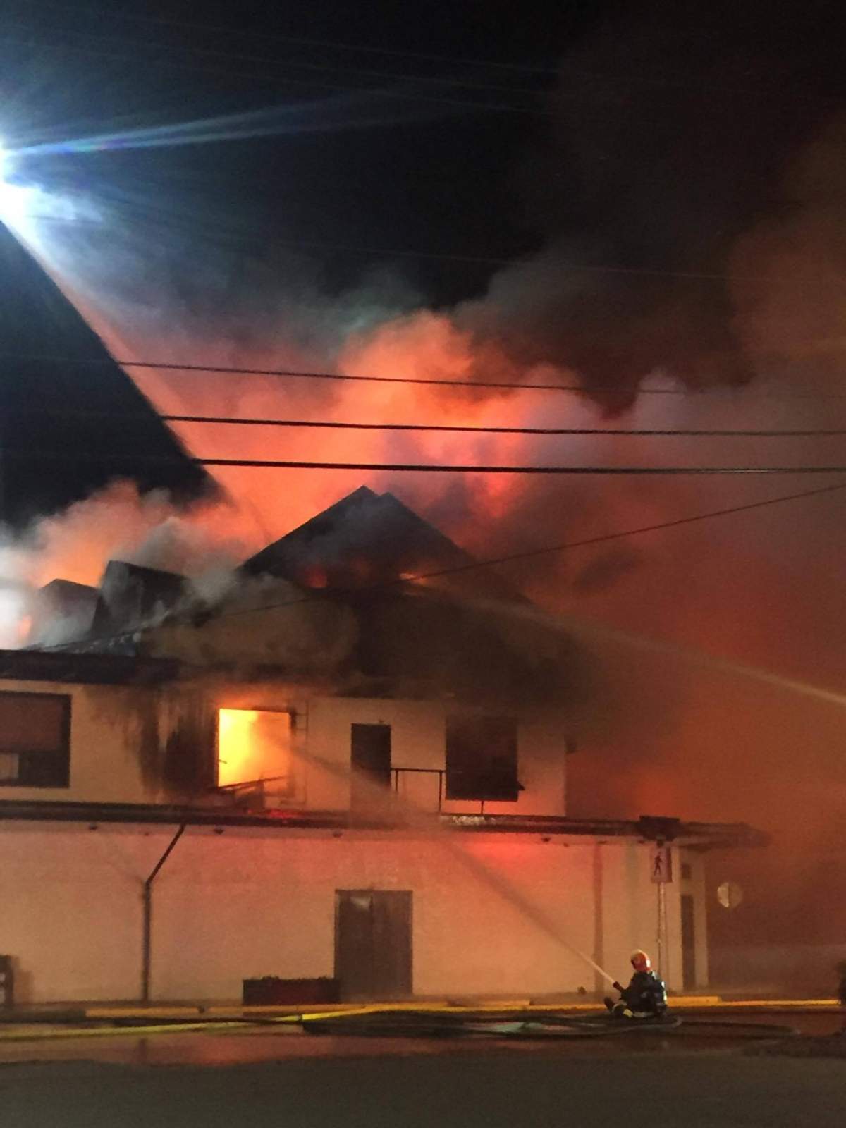 Credit: Chantal Craig