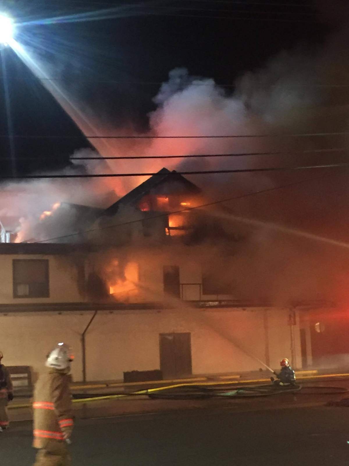 Credit: Chantal Craig