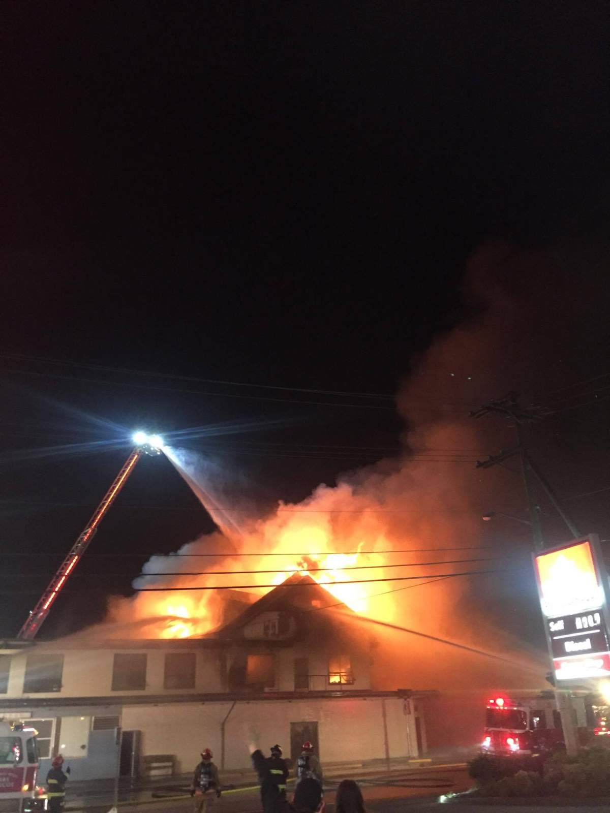 Credit: Chantal Craig