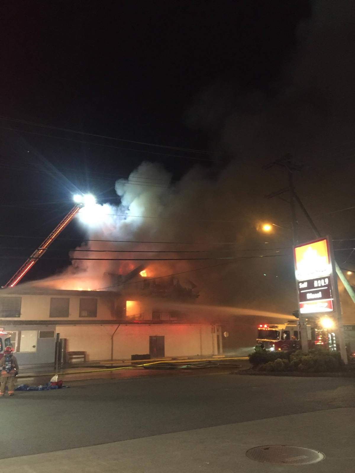 Credit: Chantal Craig