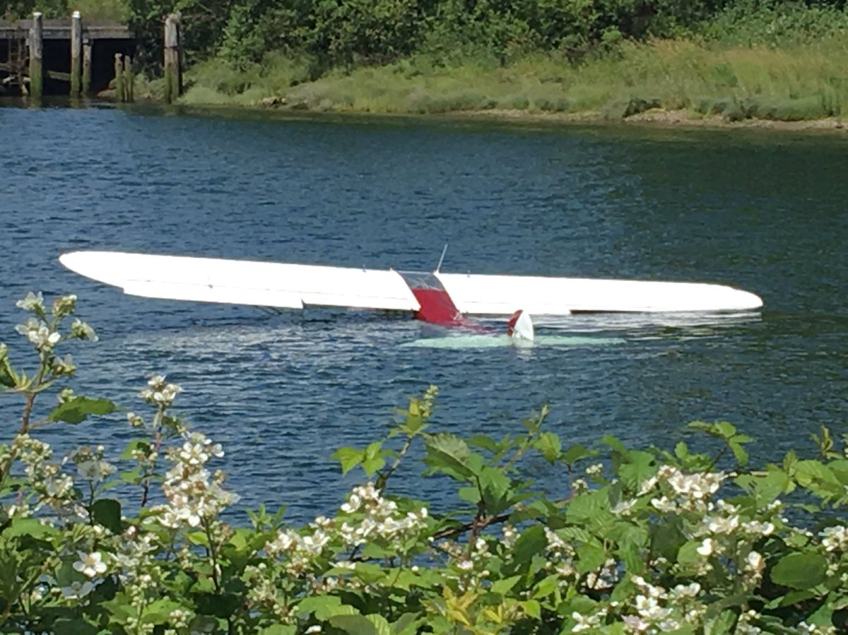 The pilot of the Piper PA-18 escaped without injuries.