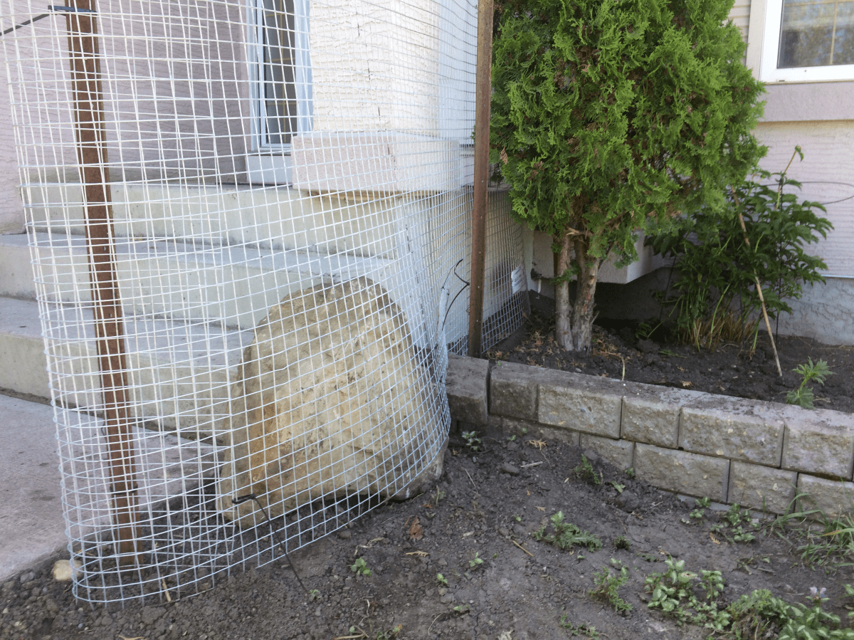 Calgary city officials set up a rock and fencing at the stoop of an Edgebrook Drive home that became the den for coyotes.