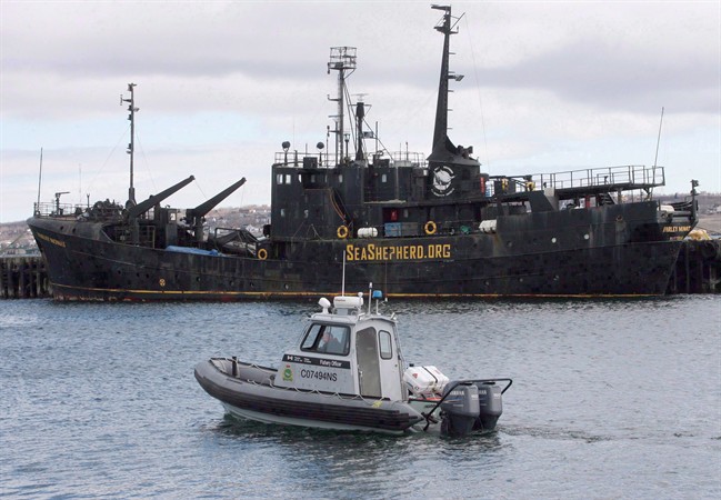 A Canadian Fisheries and Oceans patrol boat passes by the Sea Shepherd Conservation Society vessel Farley Mowat on Monday April 14, 2008, in Sydney, N.S.. The federal government is moving ahead with a plan to remove and dispose of a derelict ship that has sullied a Nova Scotia waterfront for years.