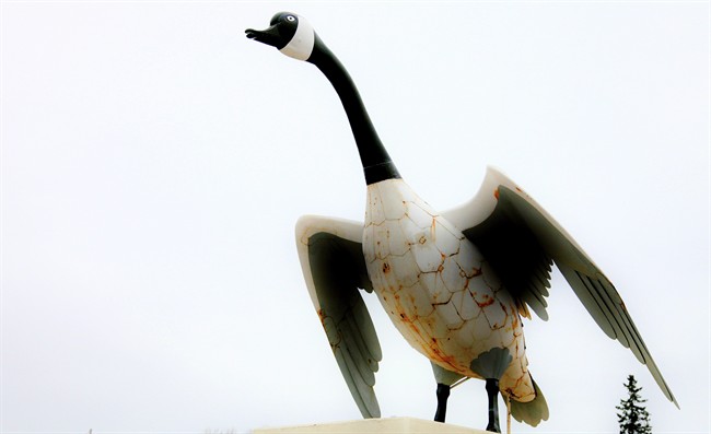 The Big Goose shows its age in Wawa, Ont., on Monday April 3, 2017. The fowl will be replaced by a shiny new giant bird on Canada Day. THE CANADIAN PRESS/Colin Perkel.