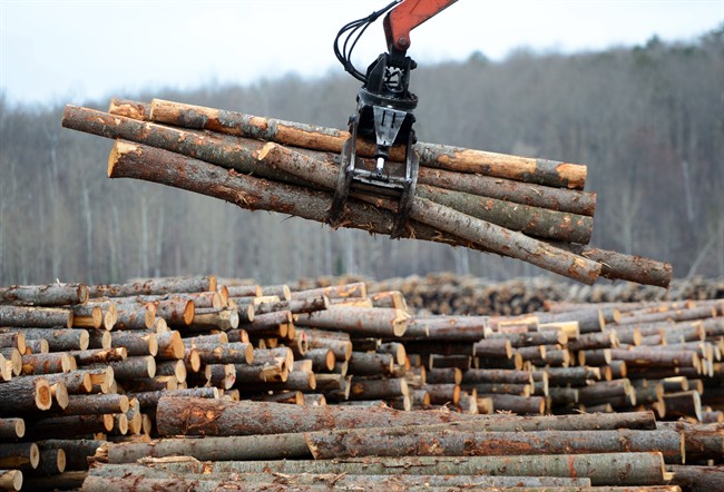 Workers sort wood at Murray Brothers Lumber Company woodlot in Madawaska, Ont. on April 25, 2017. Natural Resources Minister Jim Carr is announcing $867 million in financial supports to help lumber producers and employees weather the impact of punishing new U.S. tariffs on Canadian softwood exports.