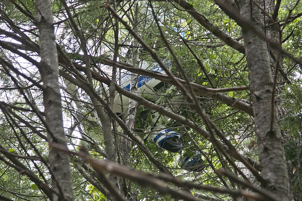 The wreckage of a crashed ultralight plane can be seen through thick foliage.