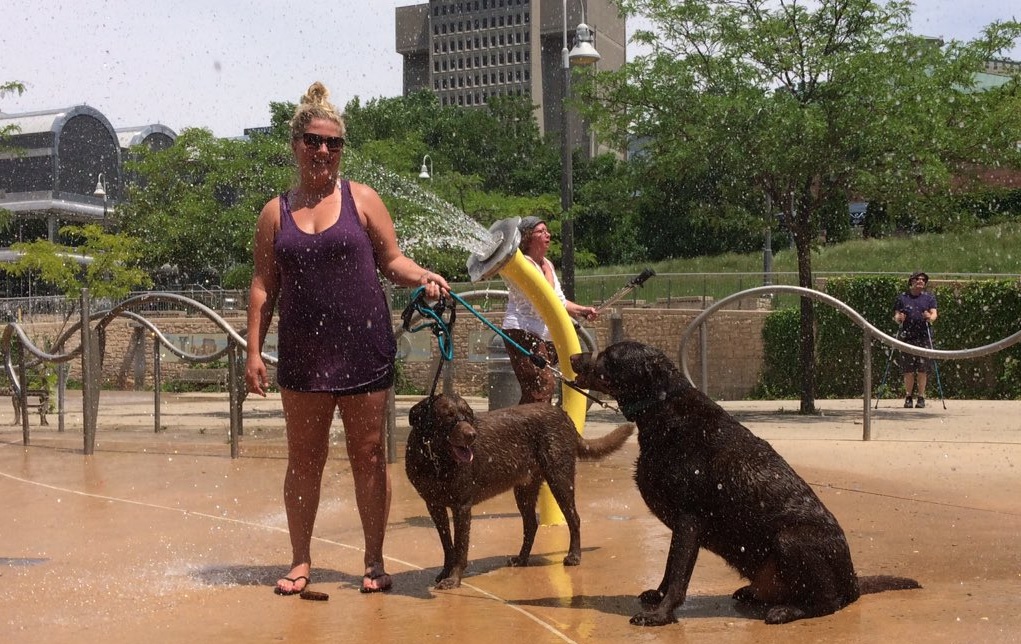 Kim Glumac brought her dogs to Ivey Park on Monday afternoon, to cool off from the heat.