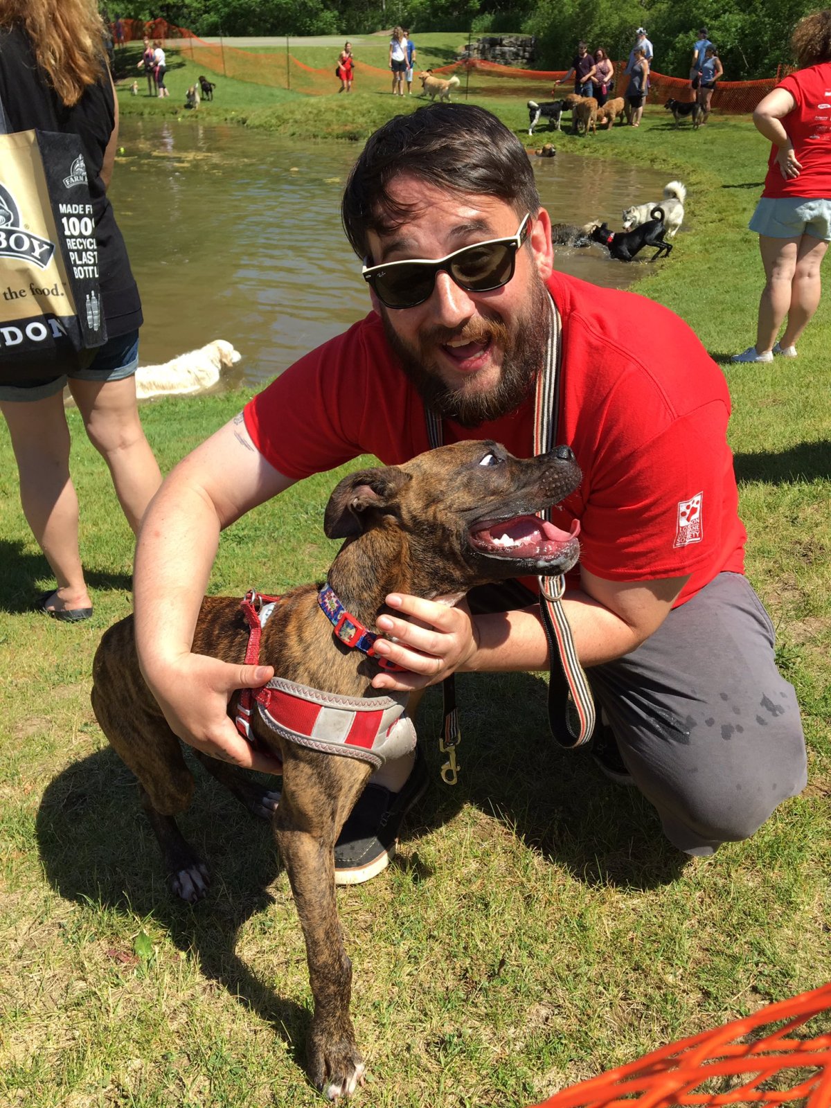 London Humane Society says Bark in the Park 2017 was most successful yet - image