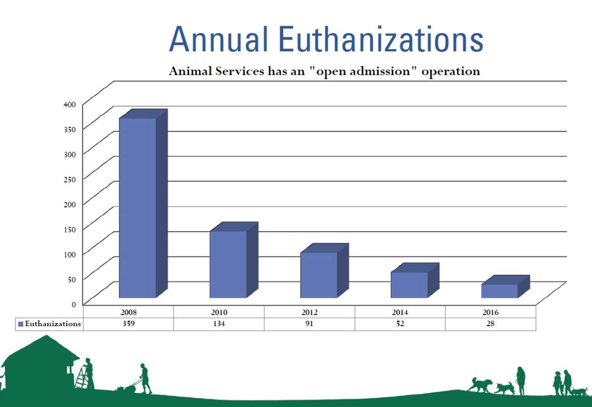Fewer dogs are being put down than ever before, according to recent stats released by the city.