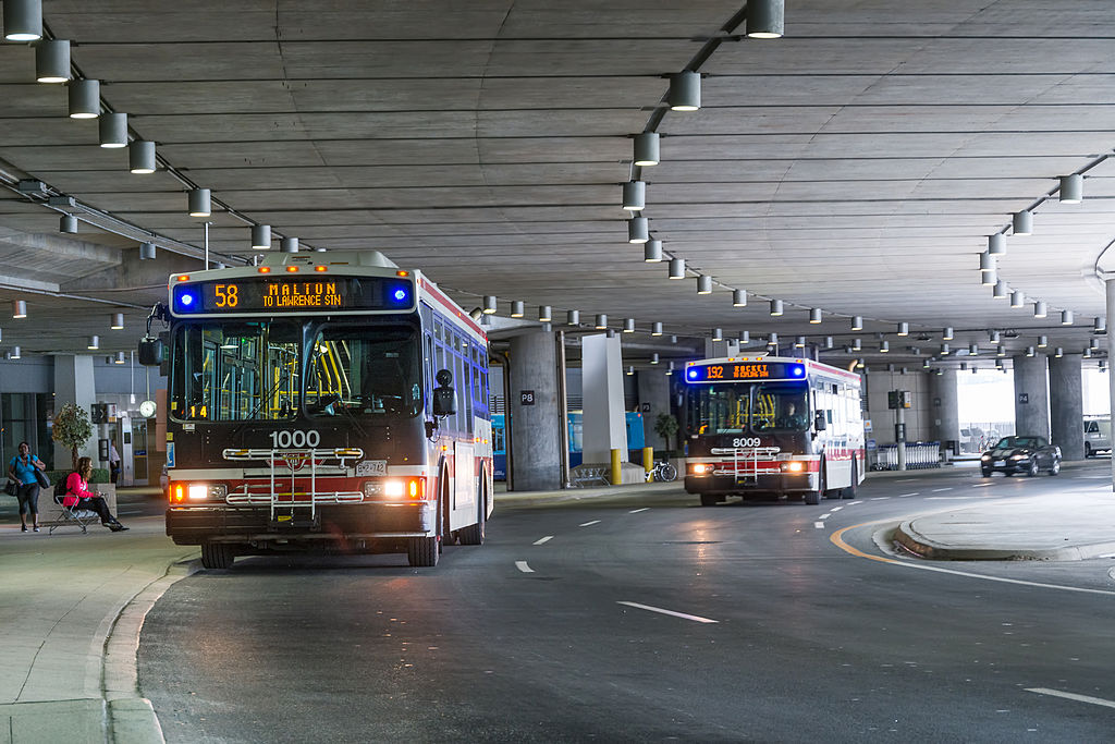 TTC buses at Pearson International Airport on Aug. 15, 2013.
