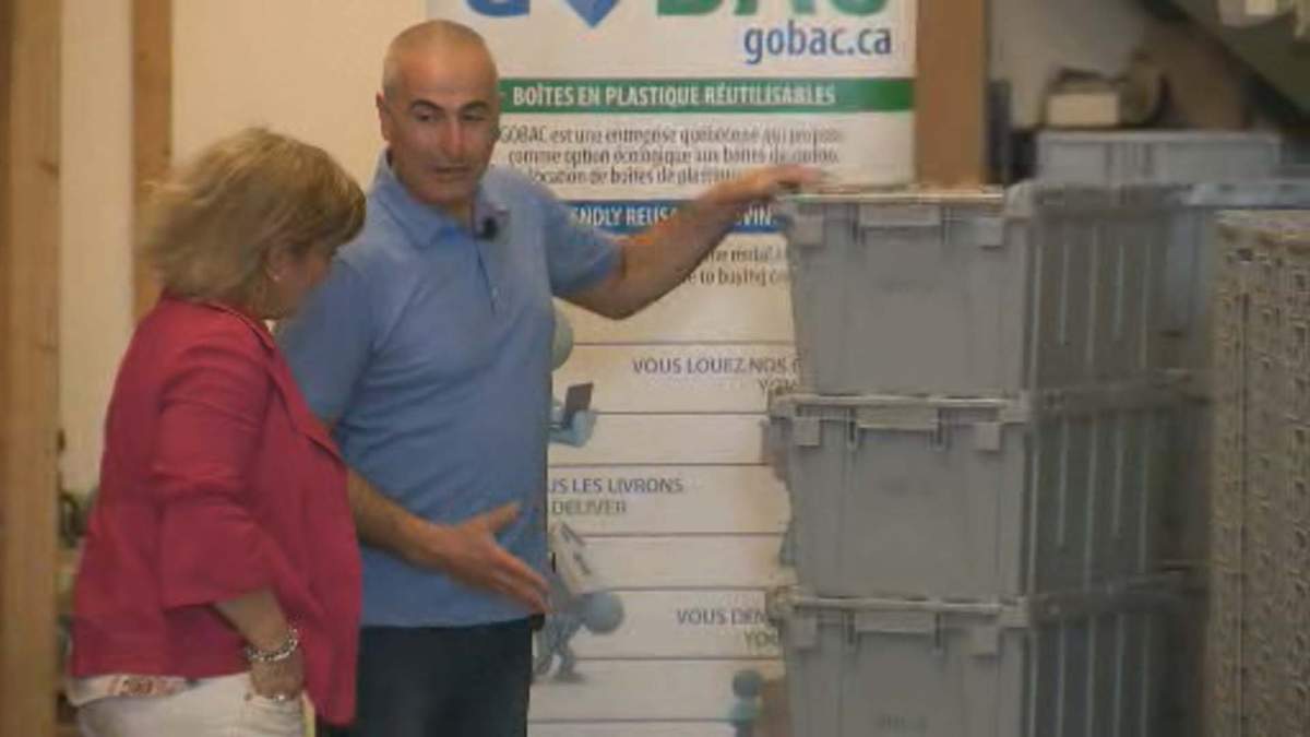 Shai Schwartz, owner of GoBAC, capitalized on a trend that he saw back in 2010.