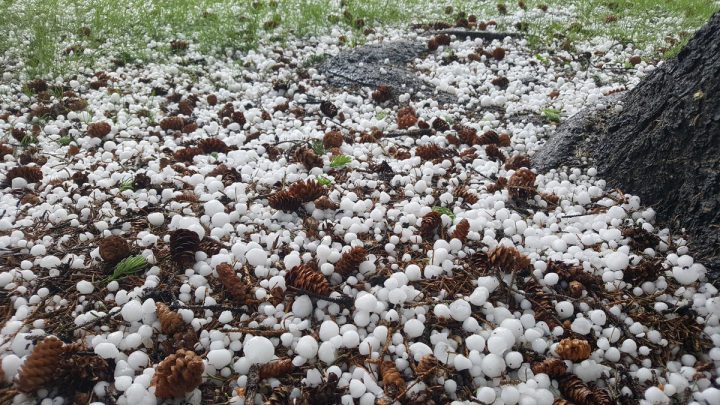 Nearly 2500 damage claims have been file following a brief, but violent, hailstorm in Saskatoon on Friday.