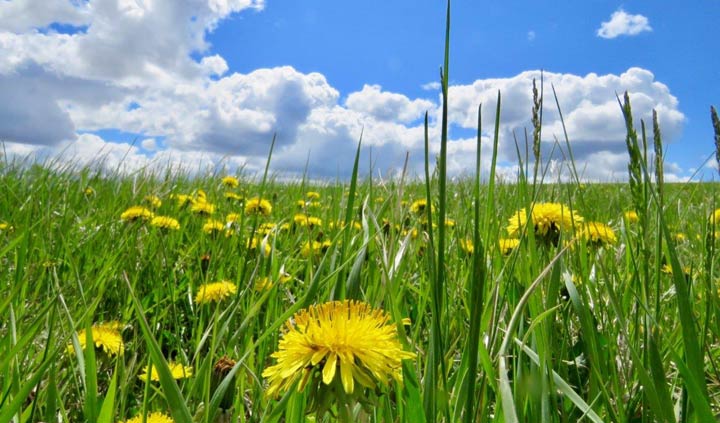 June 21: This Your Saskatchewan photo was taken by Helen Anderson in Saskatoon.