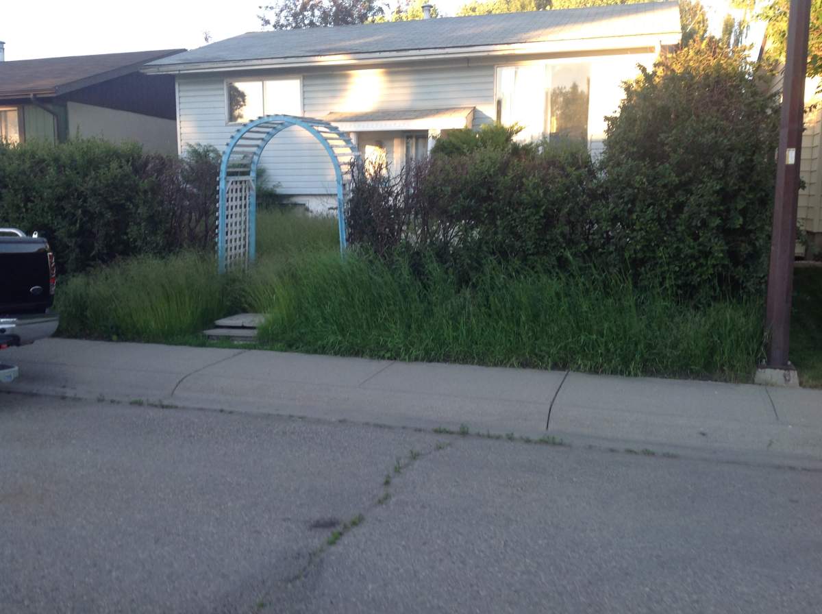 Weeds and long grass at this vacant Calgary home were cause for complaint from neighbouring homeowners.