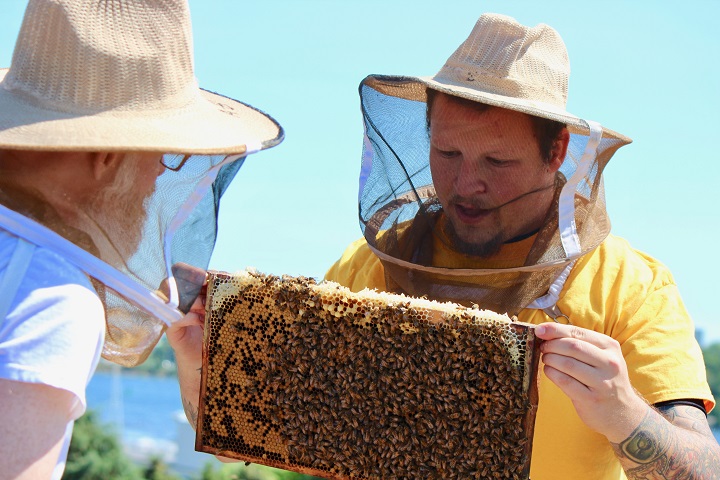 Accueil Bonneau held a guided tour for their Miel de Bonneau initiative on Thursday. The social reintegration program aims to help homeless men develop communication and social skills while learning about urban beekeeping.  Thursday, June 15, 2017.